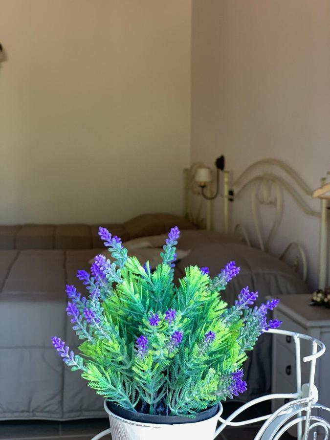 Barsentello Bed and Breakfast Noci Buitenkant foto